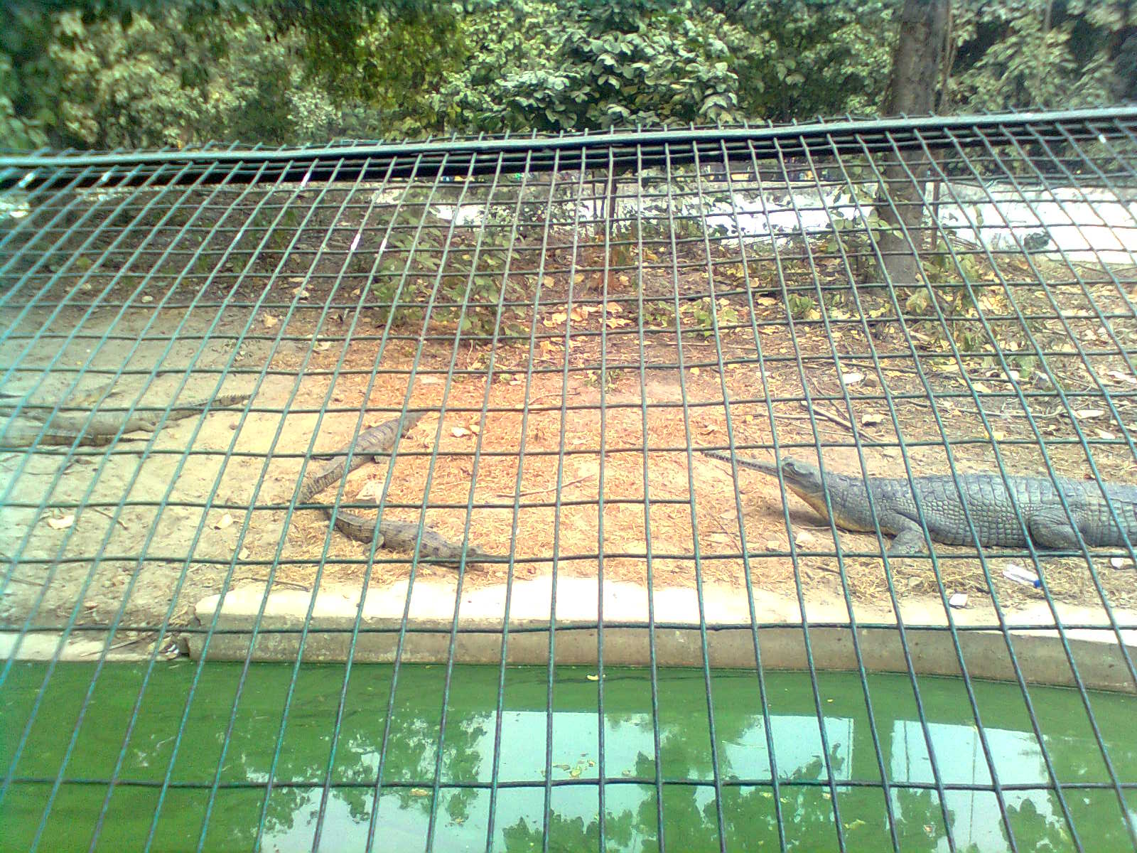 Parks and greenery in Lucknow